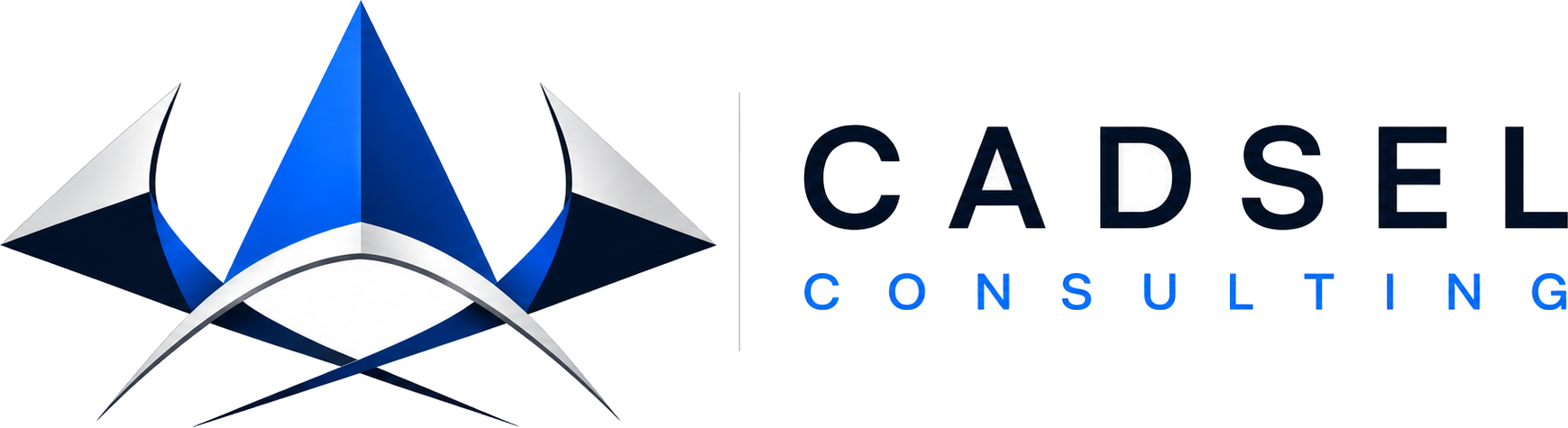 CADSEL Consulting